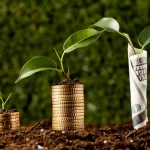 Green Business Practices: Merging Sustainability and Profitability