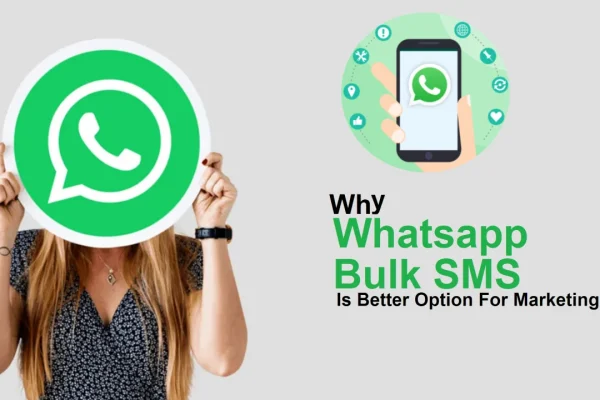 Why Your Business Needs a Bulk WhatsApp Sender